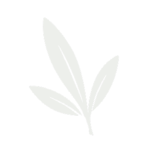 Olive Branch
