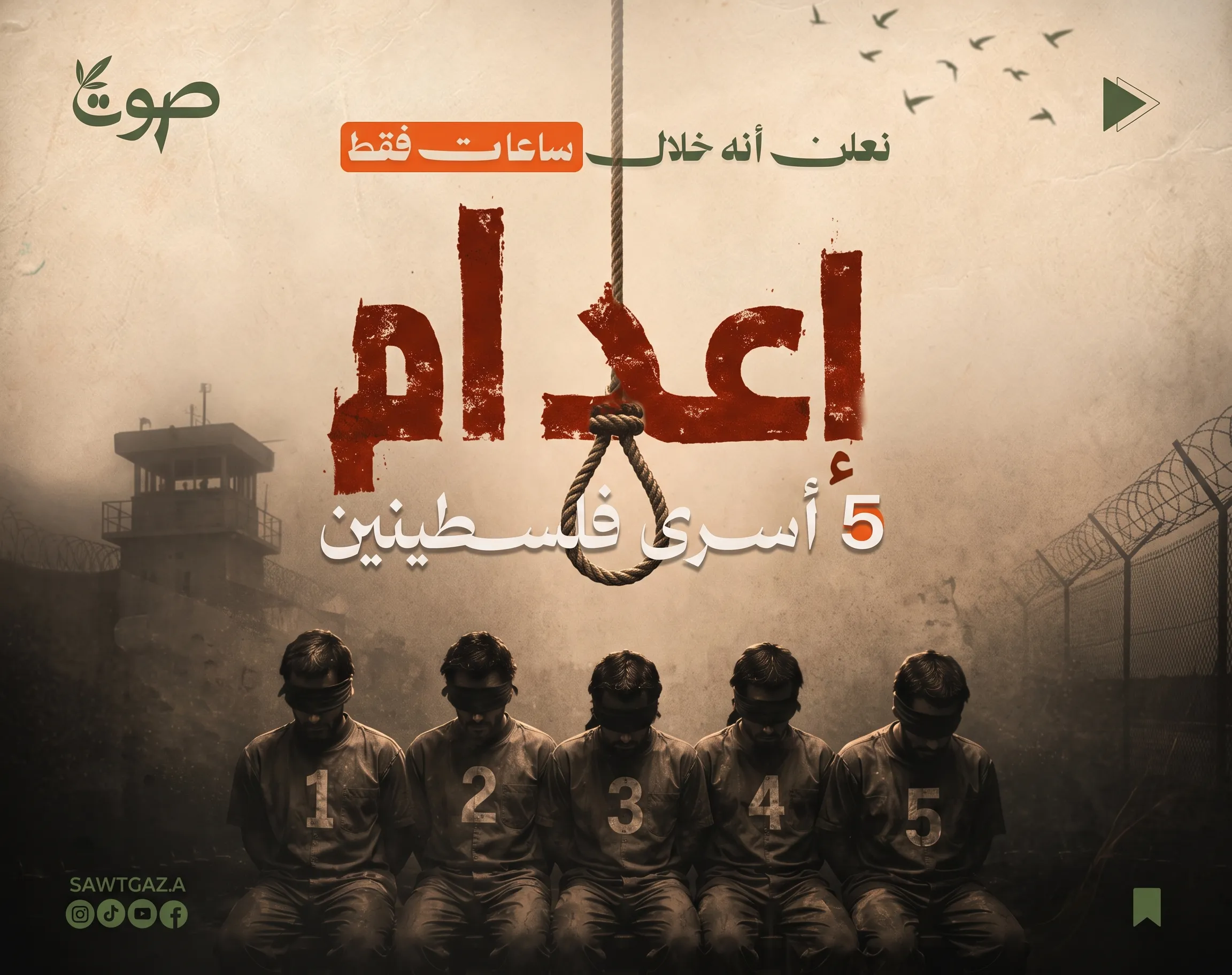 صانع المحتوى في غزة
